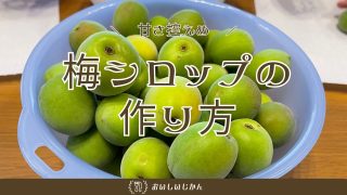 【レシピ】甘さ控えめ「梅シロップ」の作り方